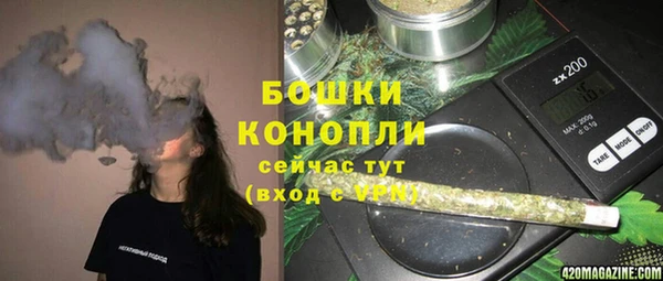 твердый Абаза
