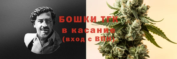 твердый Абаза